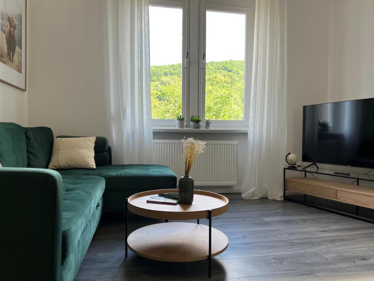 Апартаменты Direkter Moselblick I Altbau I 4 Personen I Terrasse Санкт-Альдегунд Экстерьер фото